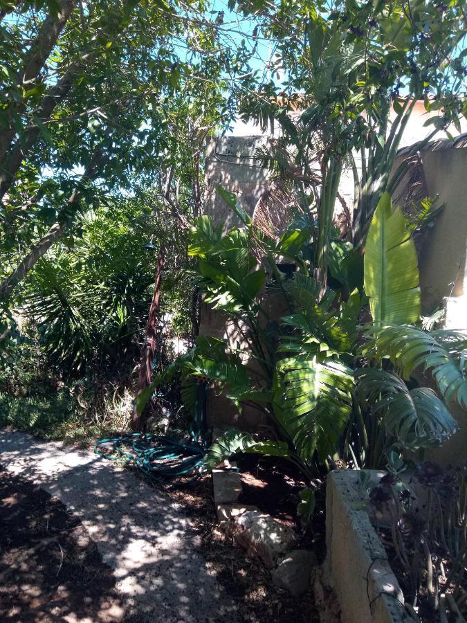 Arthouse Campos Mit Haus Galeria 110Qm Und Appartementhaus Mit Patio 30Qm Екстер'єр фото